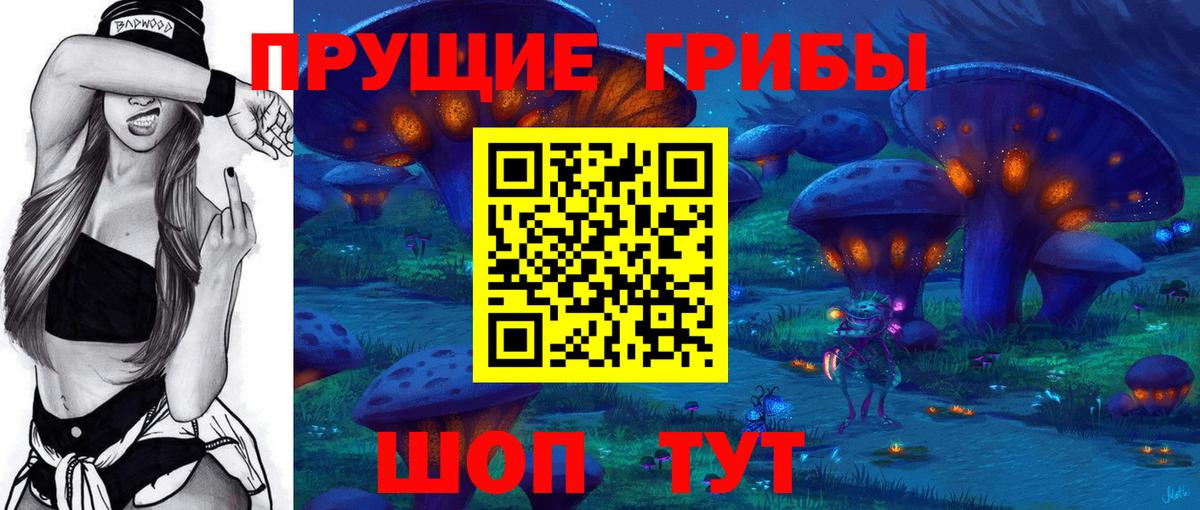 Галлюциногенные грибы Psilocybine cubensis Урай